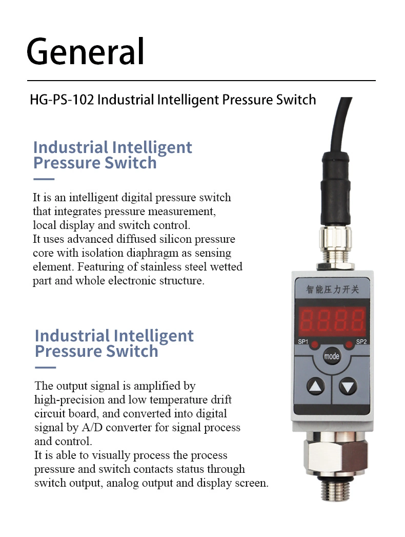 Siko Electrics Flow Totalizer Indicator Meter Flow Computer