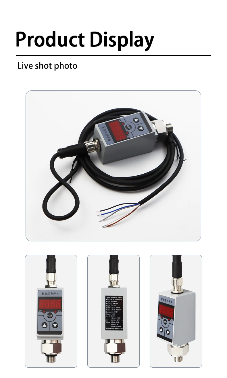 Siko Electrics Flow Totalizer Indicator Meter Flow Computer